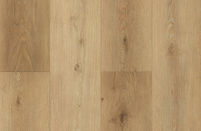 Anhui Hanhua Building Materials Technology Co., Ltd.